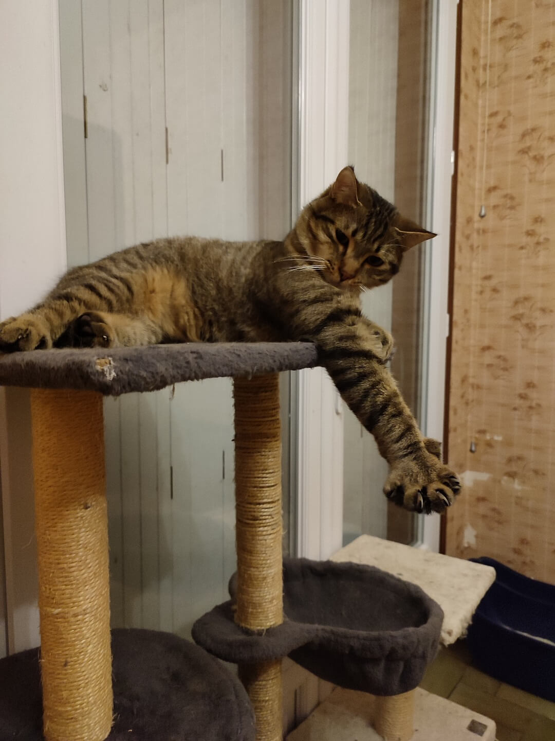chat