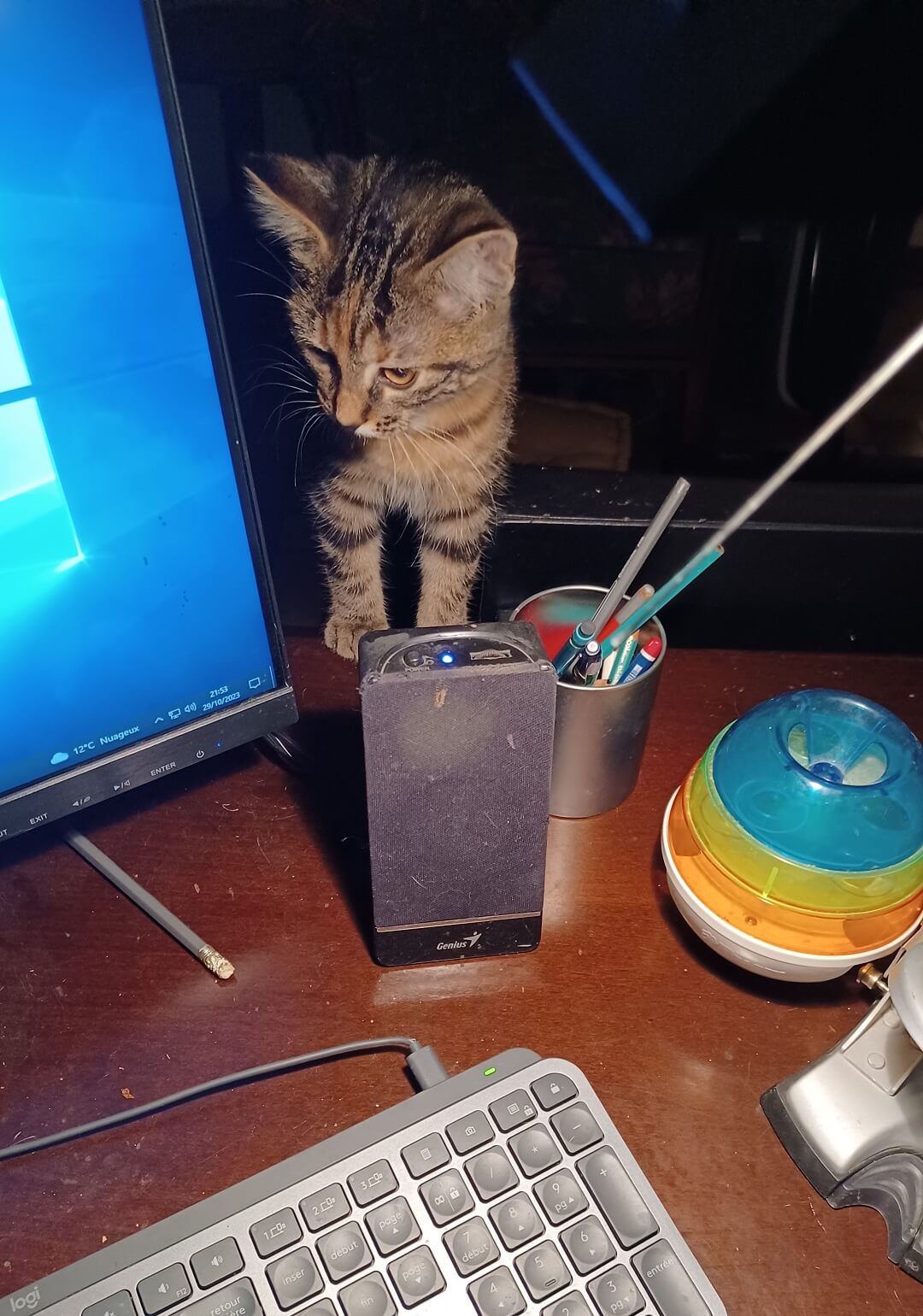 chat