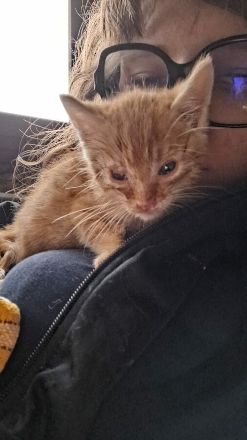 chat