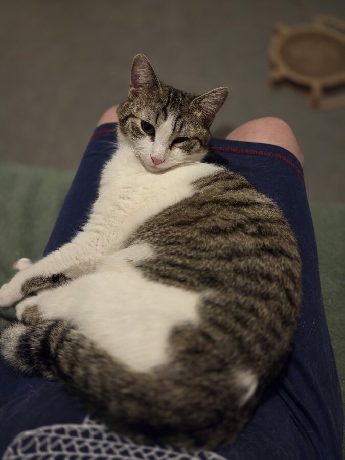 chat