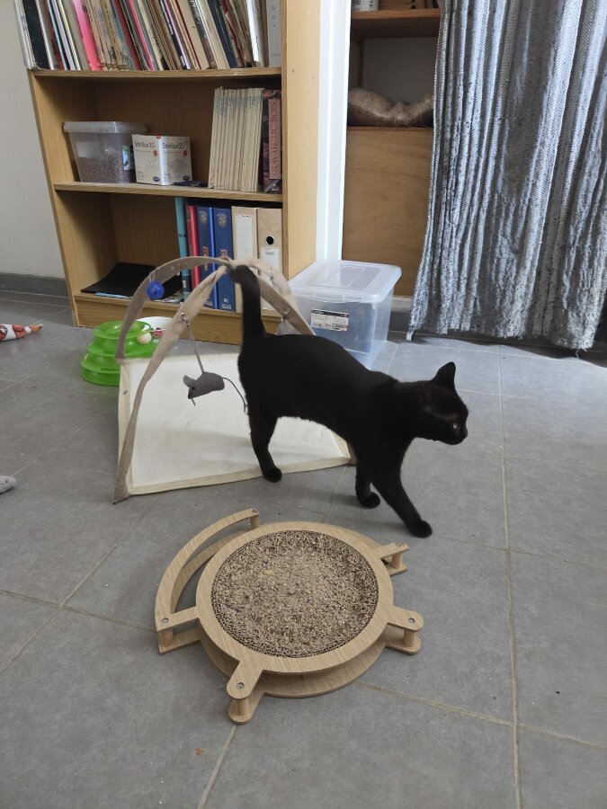 chat